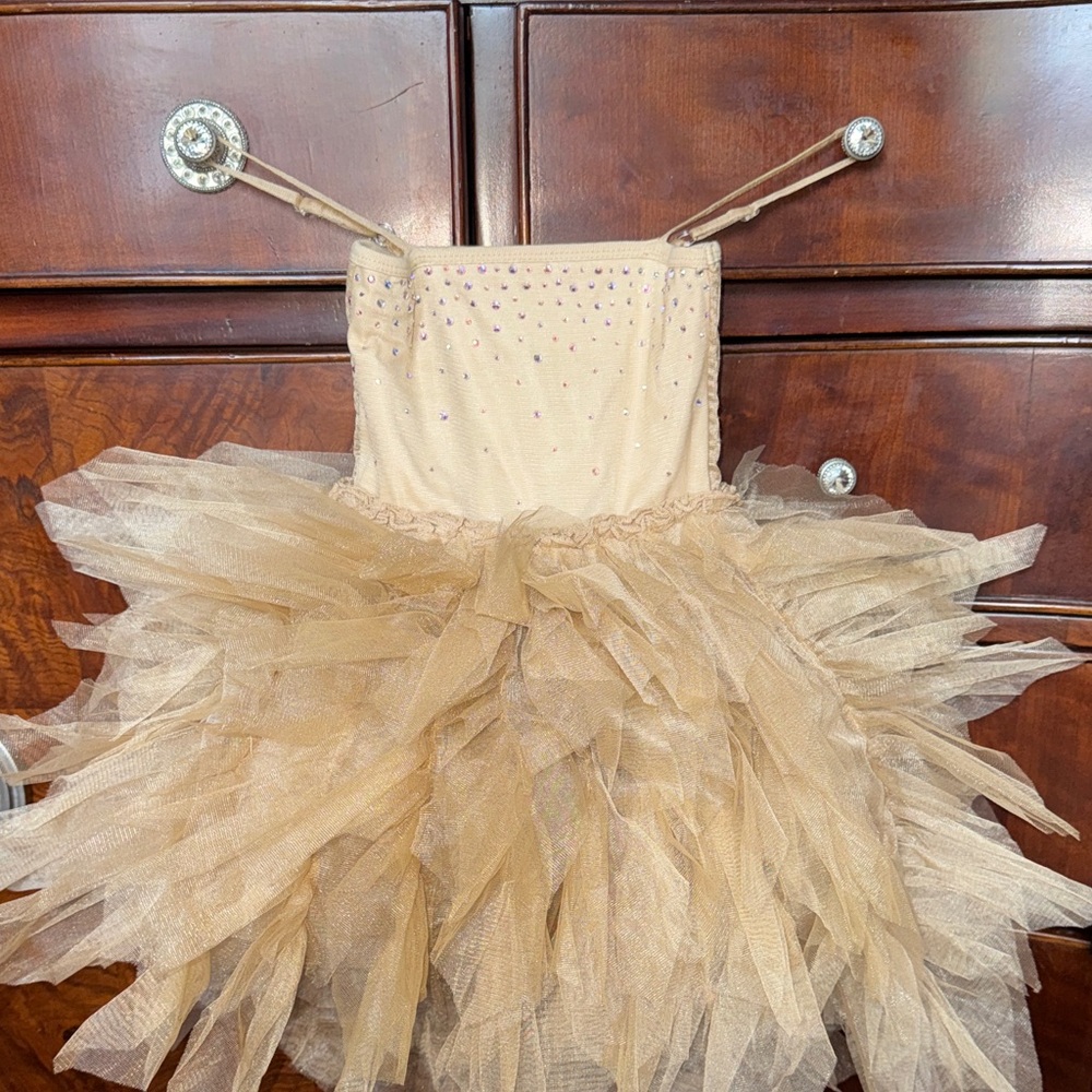 Ooh! La, La! Couture Champagne Sparkle Dress